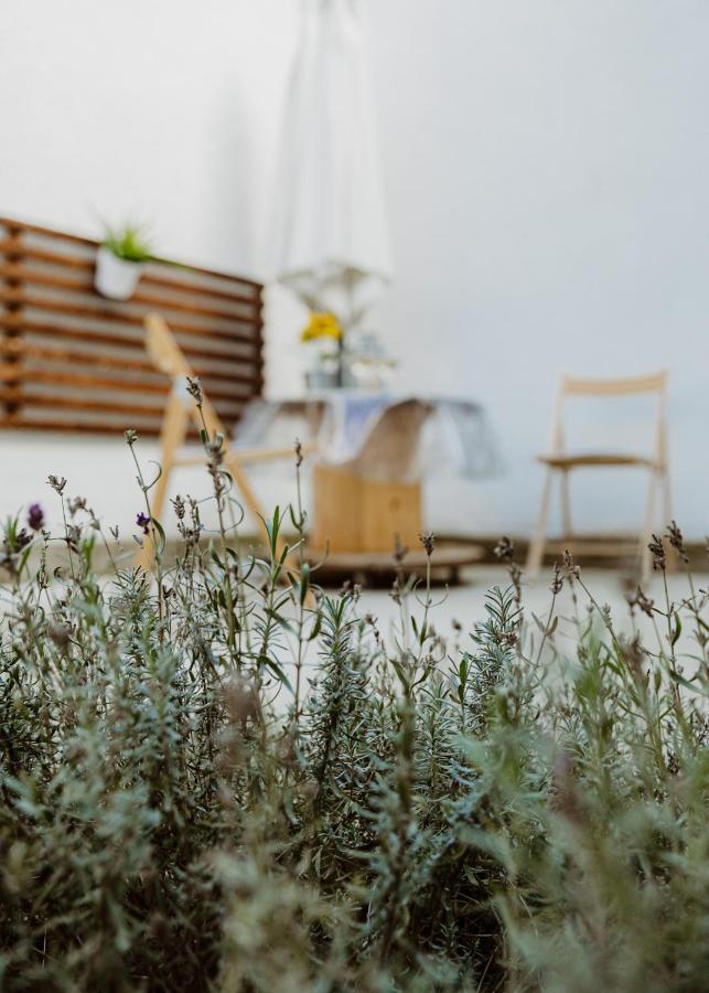Major11 apartman - Zsolnay negyed Pécs Kültér fotó